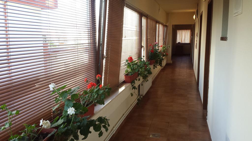 Hostel Nova Route Navodari Ngoại thất bức ảnh
